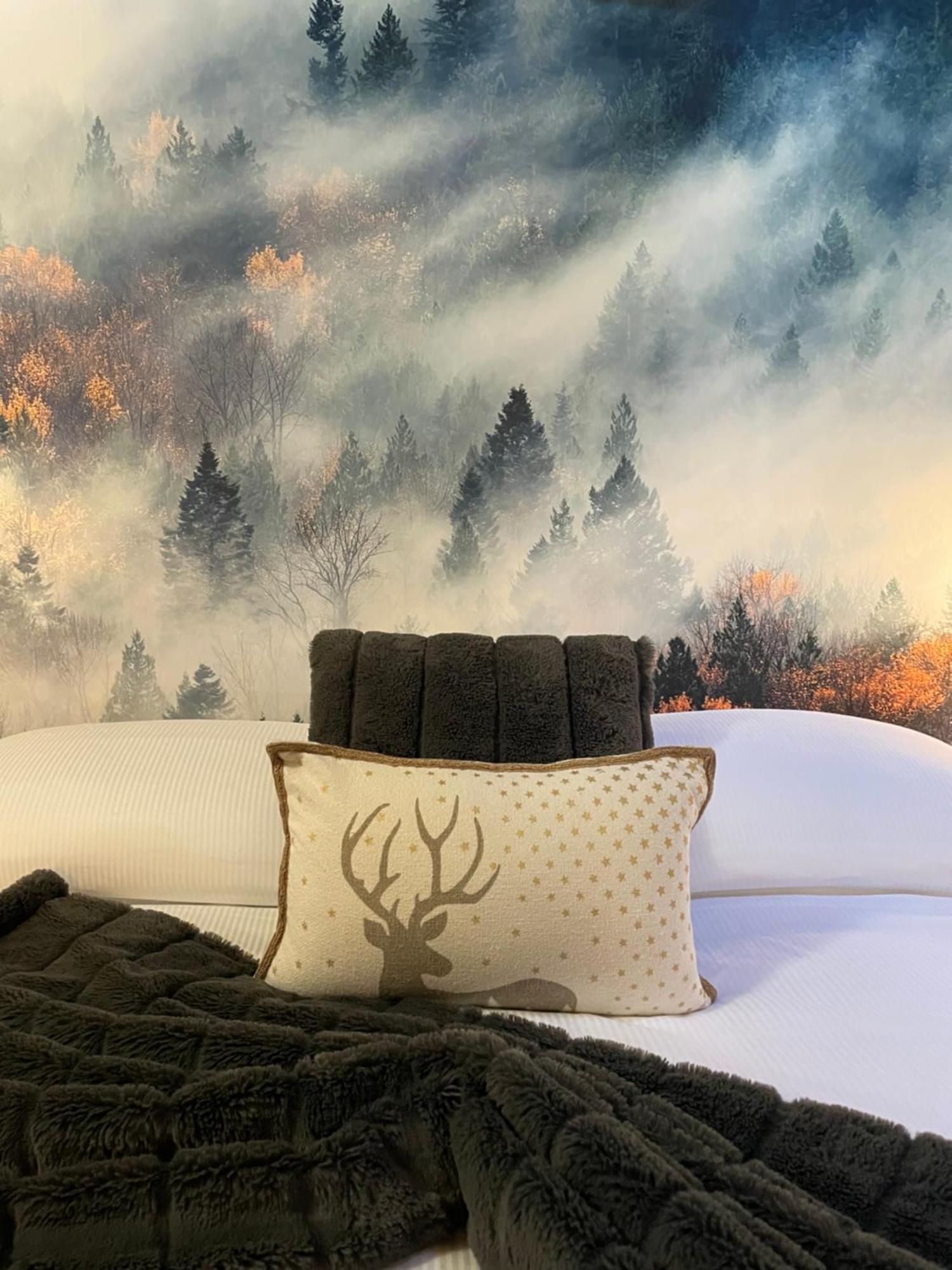 La Chambre Des Reves *